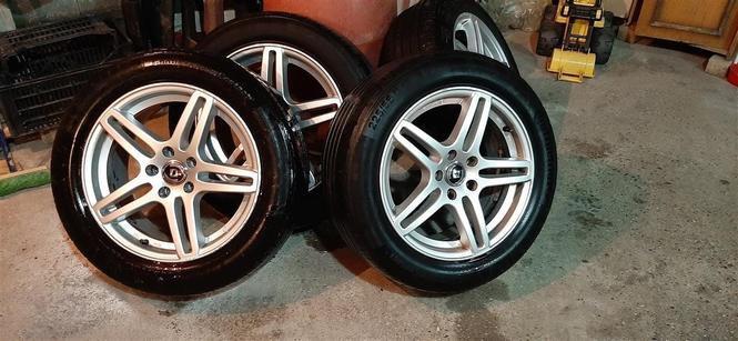 fellne 17 coll