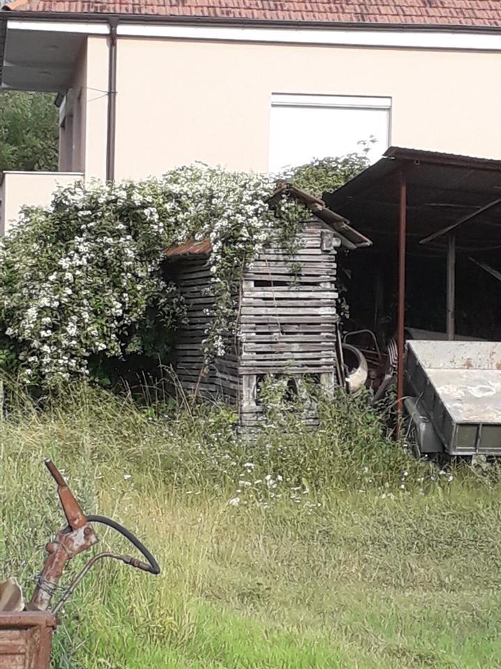 Shitet-plemja-dhe-çeremide-t-maxhupit