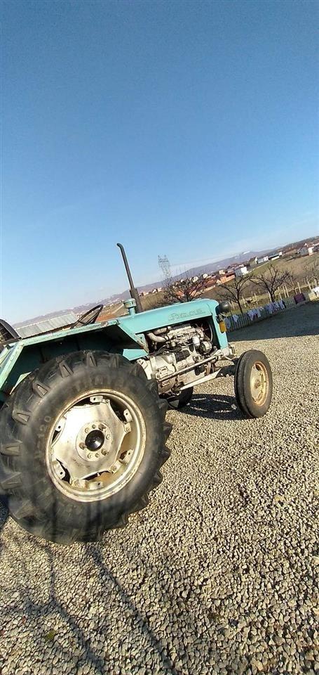 Shitey