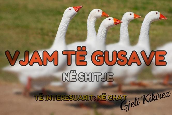 DHJAM GUSE