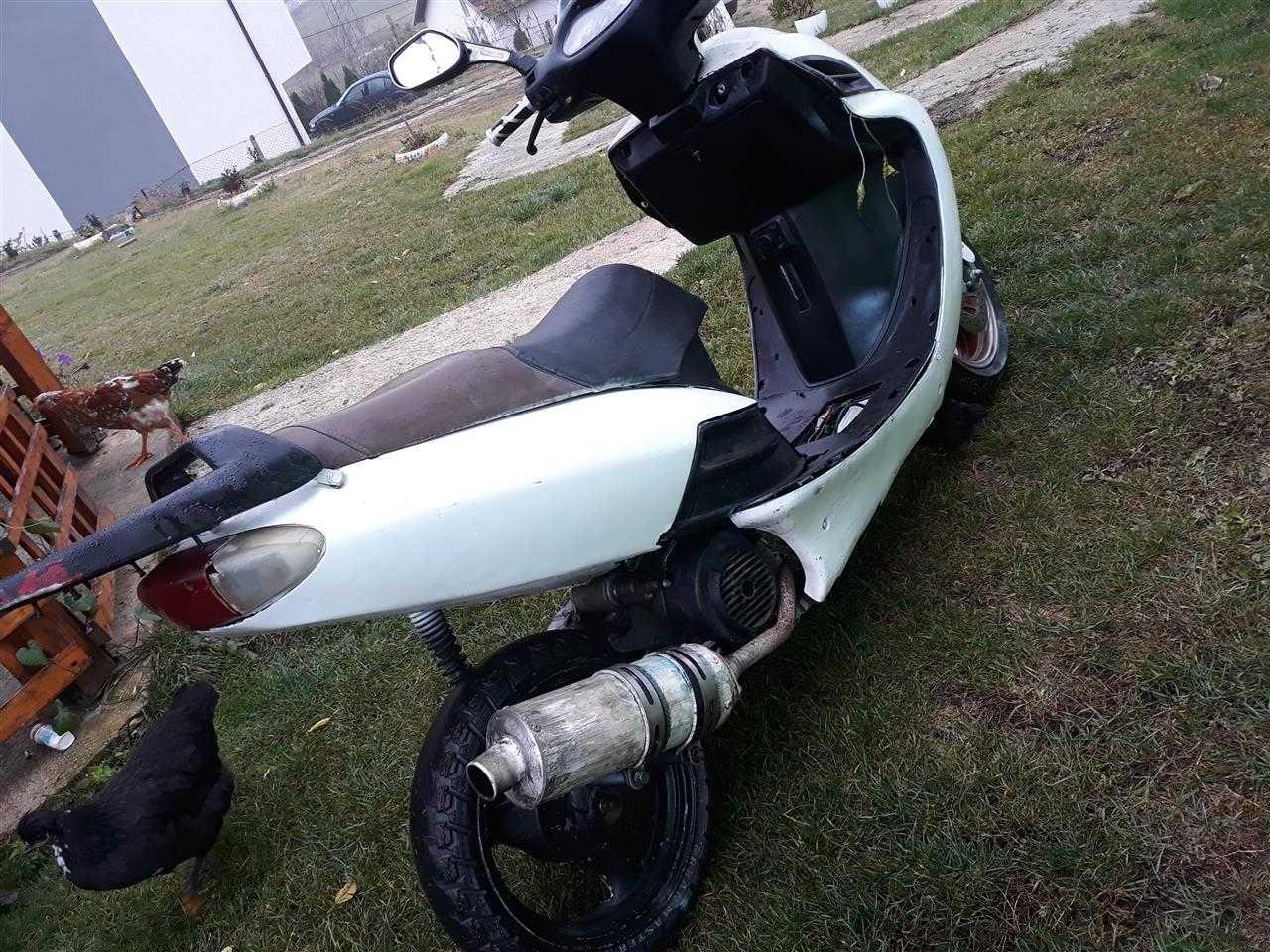 Shitet-