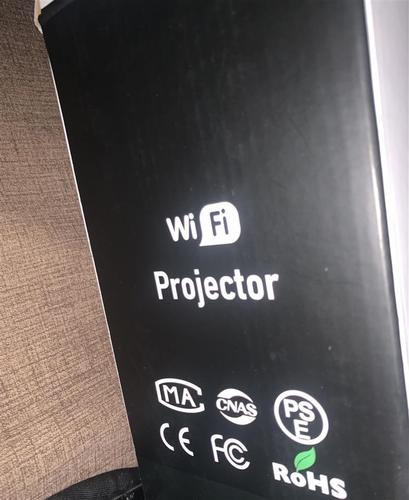 Mini projector