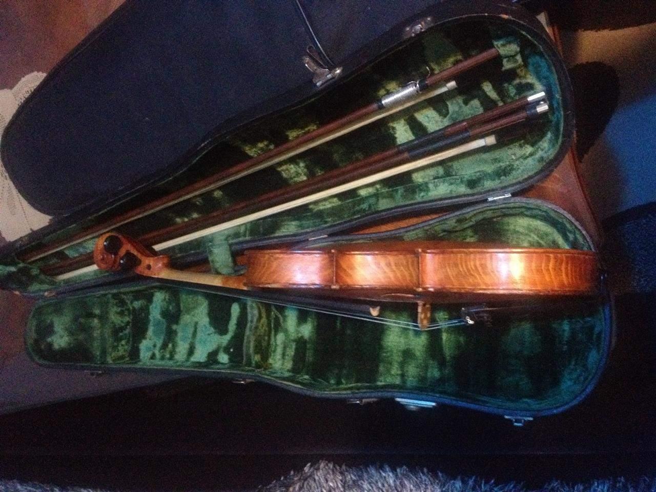 Violina