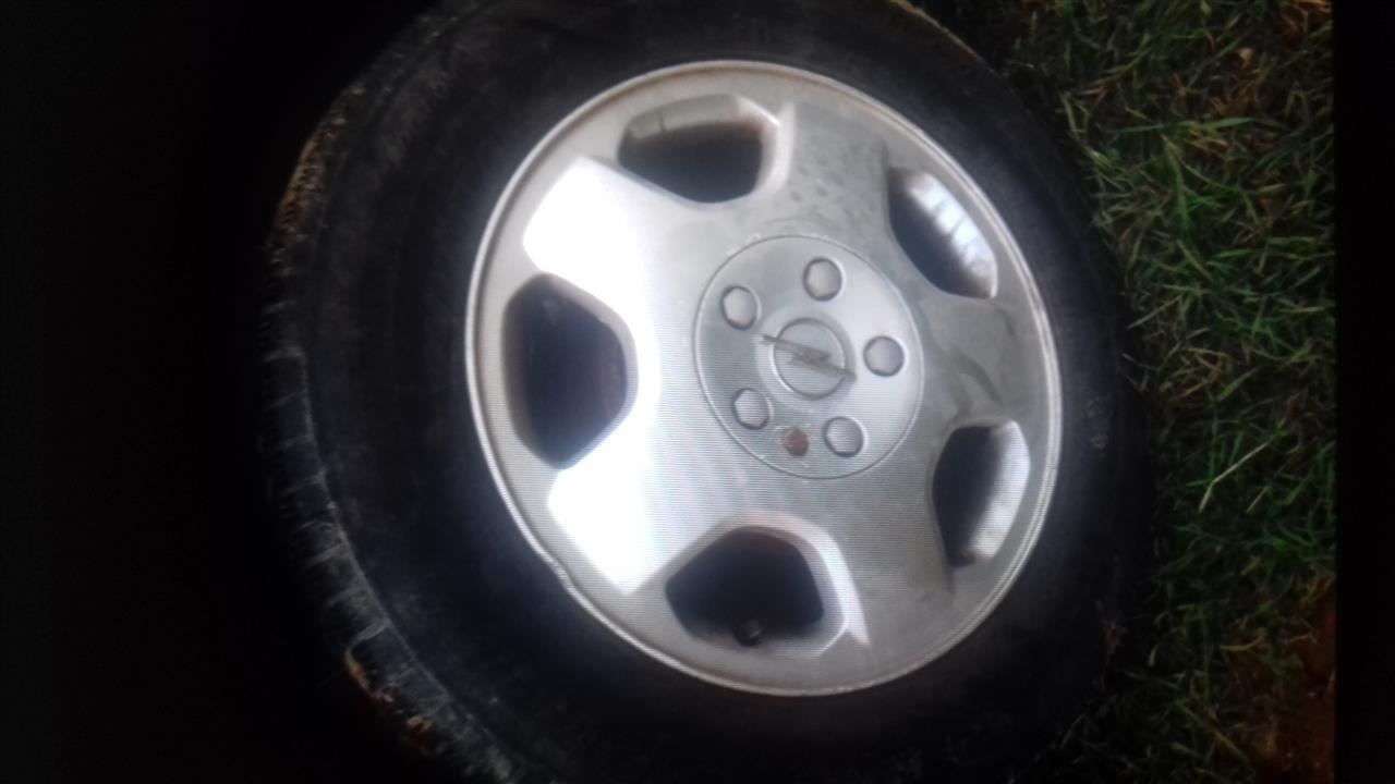 fellne-