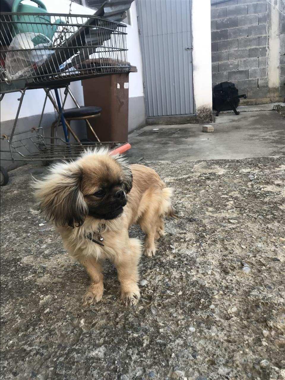 Pekinizer