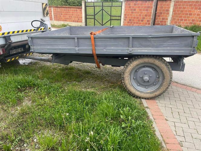 prokolic 