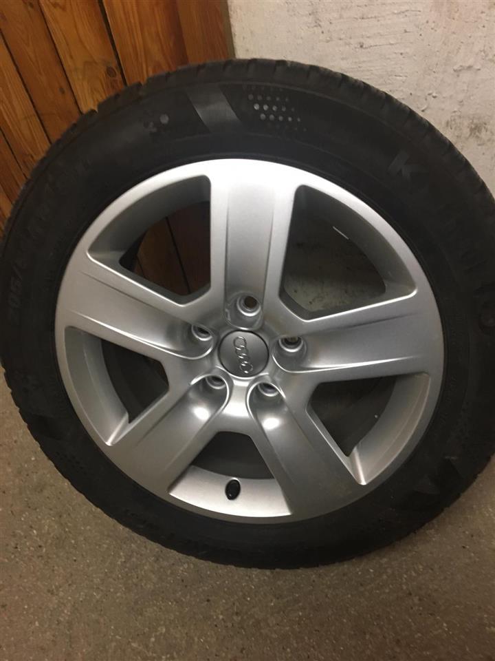 Fellne-per-Audi