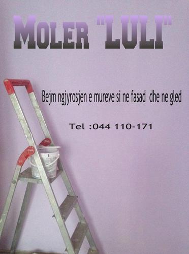 MOLER LULI 