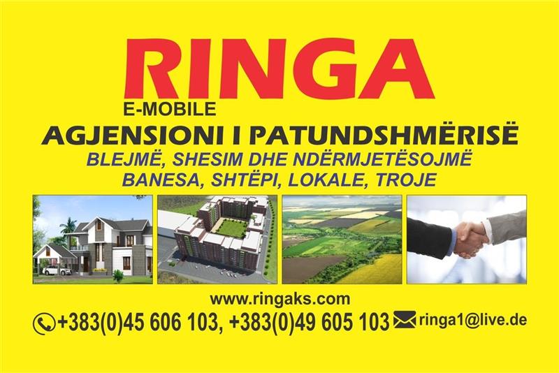 Agjensioni Ringa