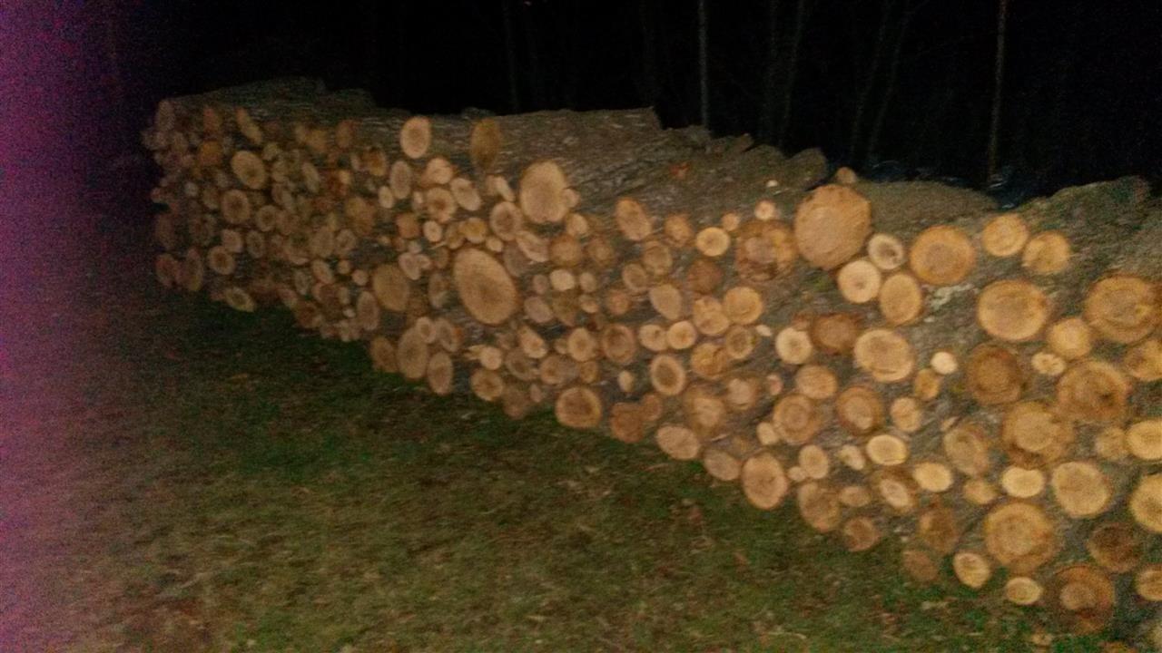 Drut-