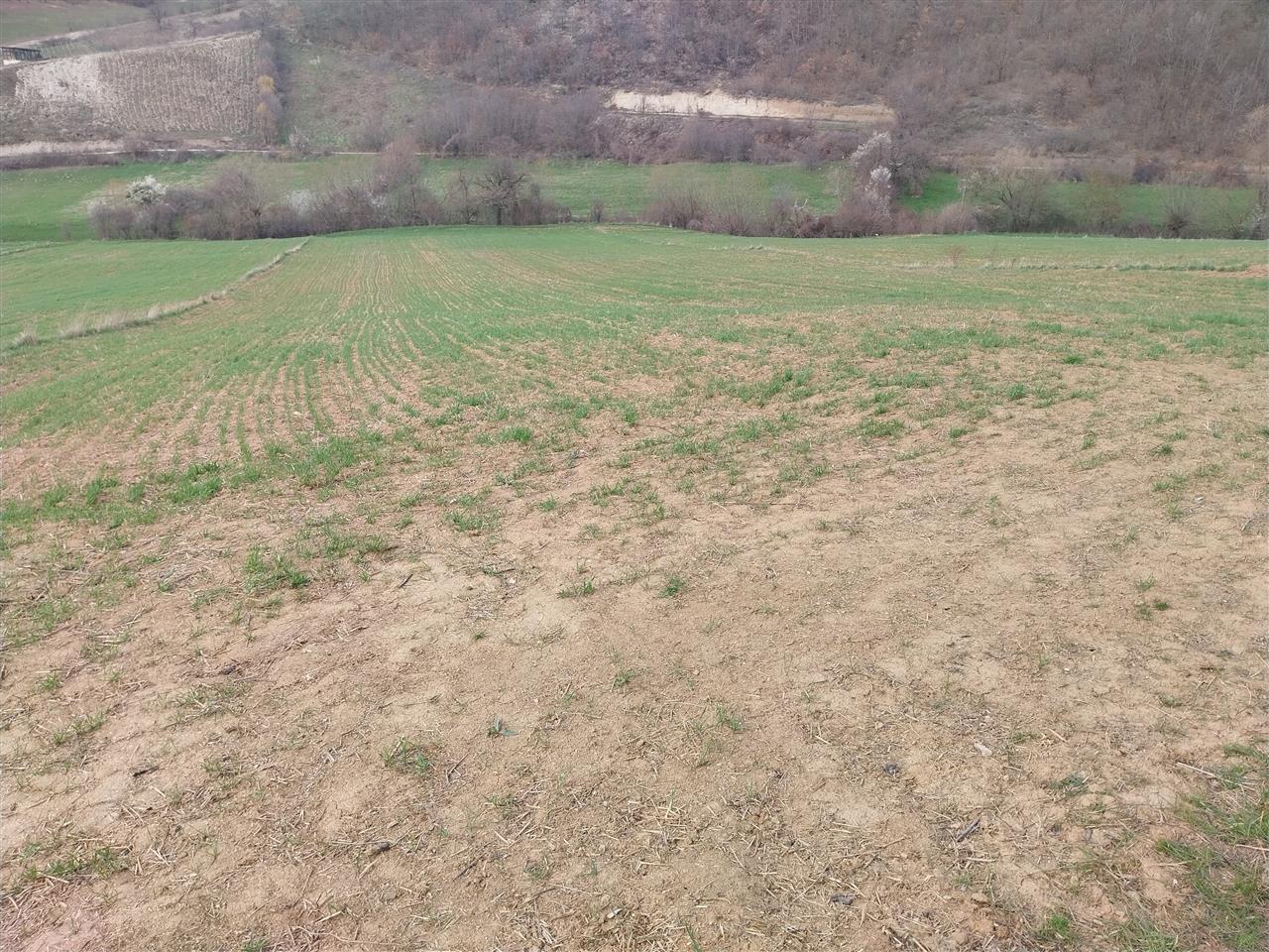 Tokë