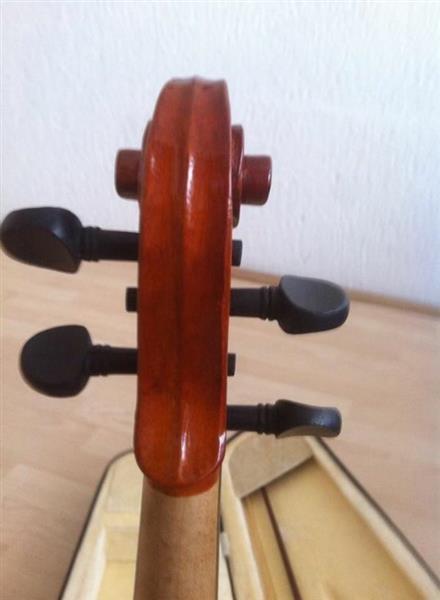 Violinë