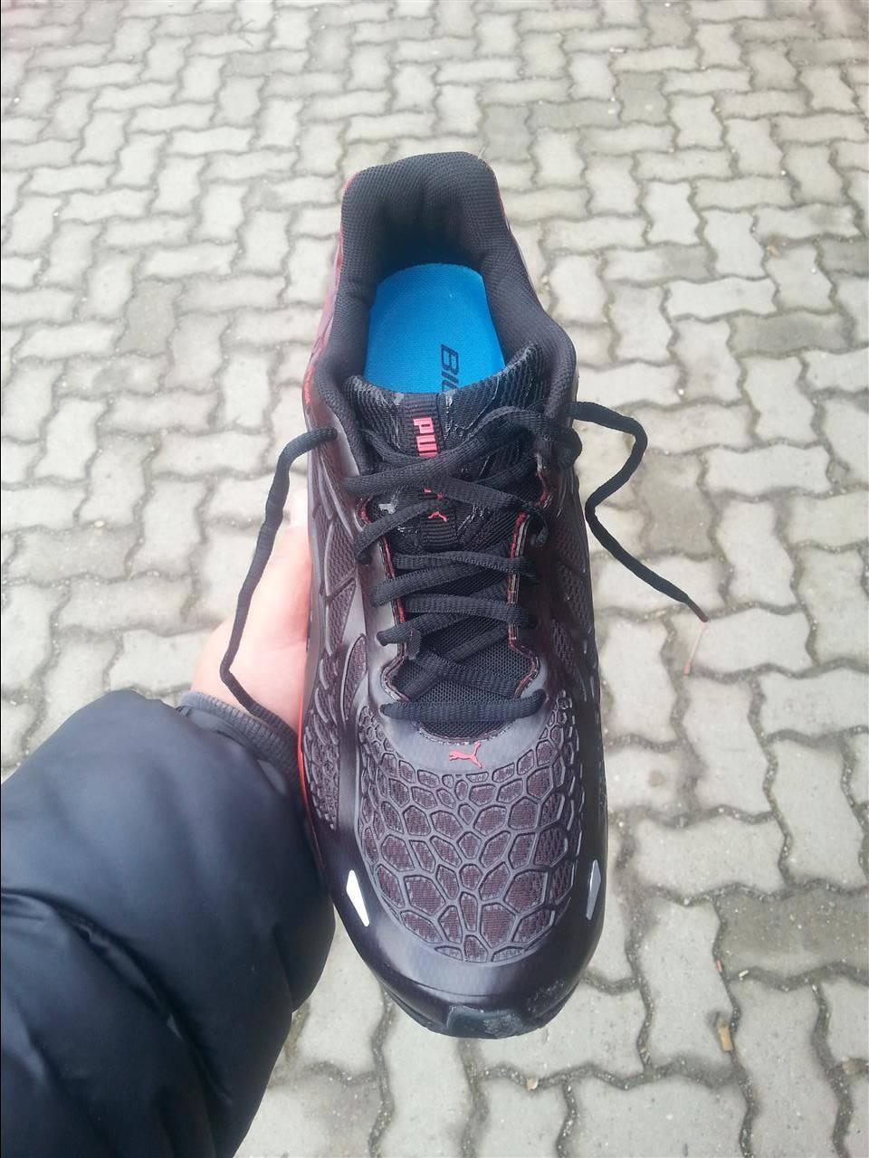 PUMA-