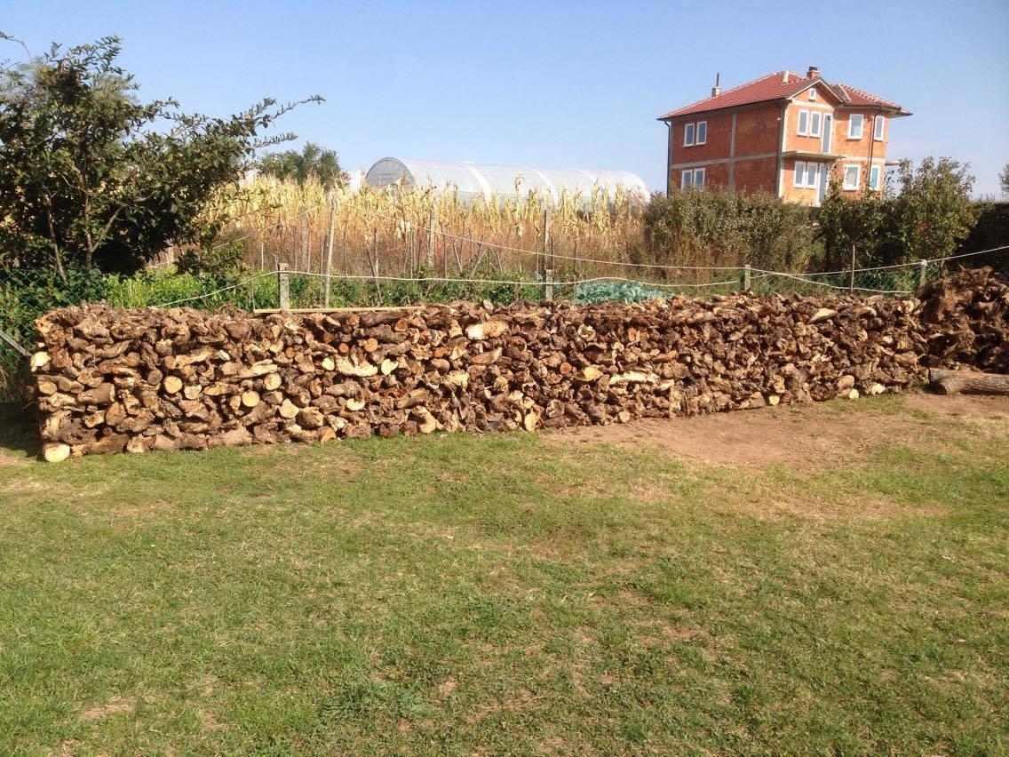 Cunga-
