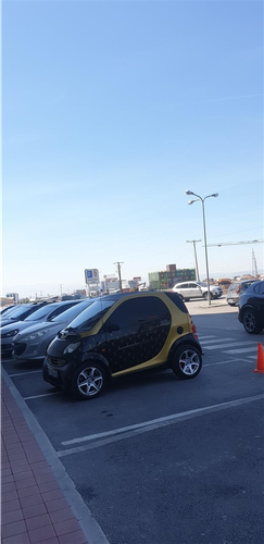 Smart 