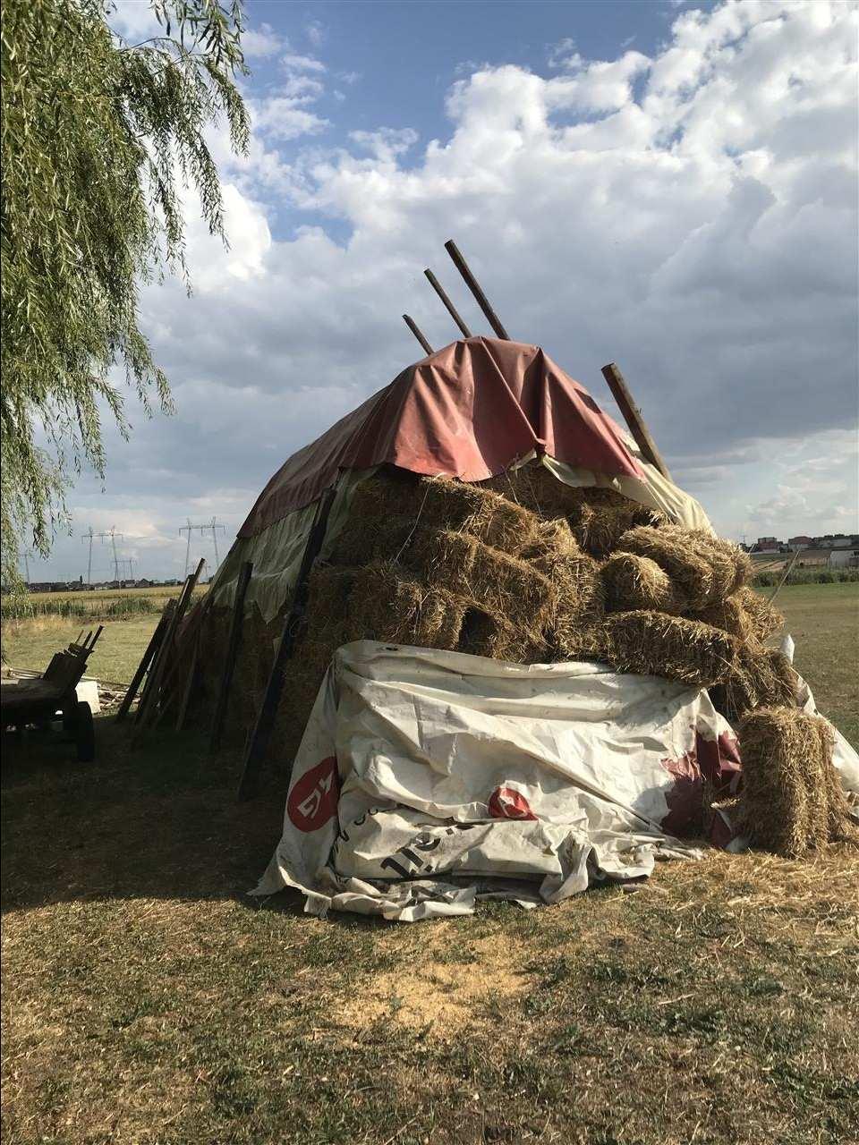 shitet-kashta