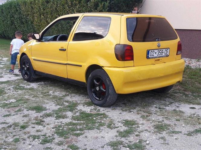 Polo