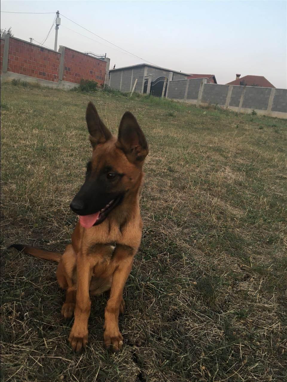 Rita