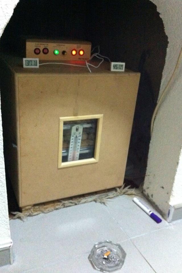 Inkubator