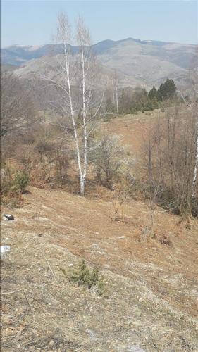 Prodaja