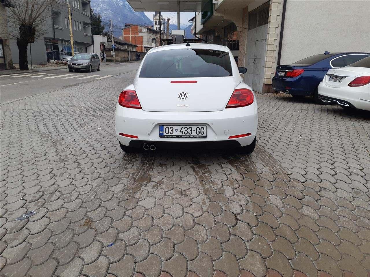 Beetle