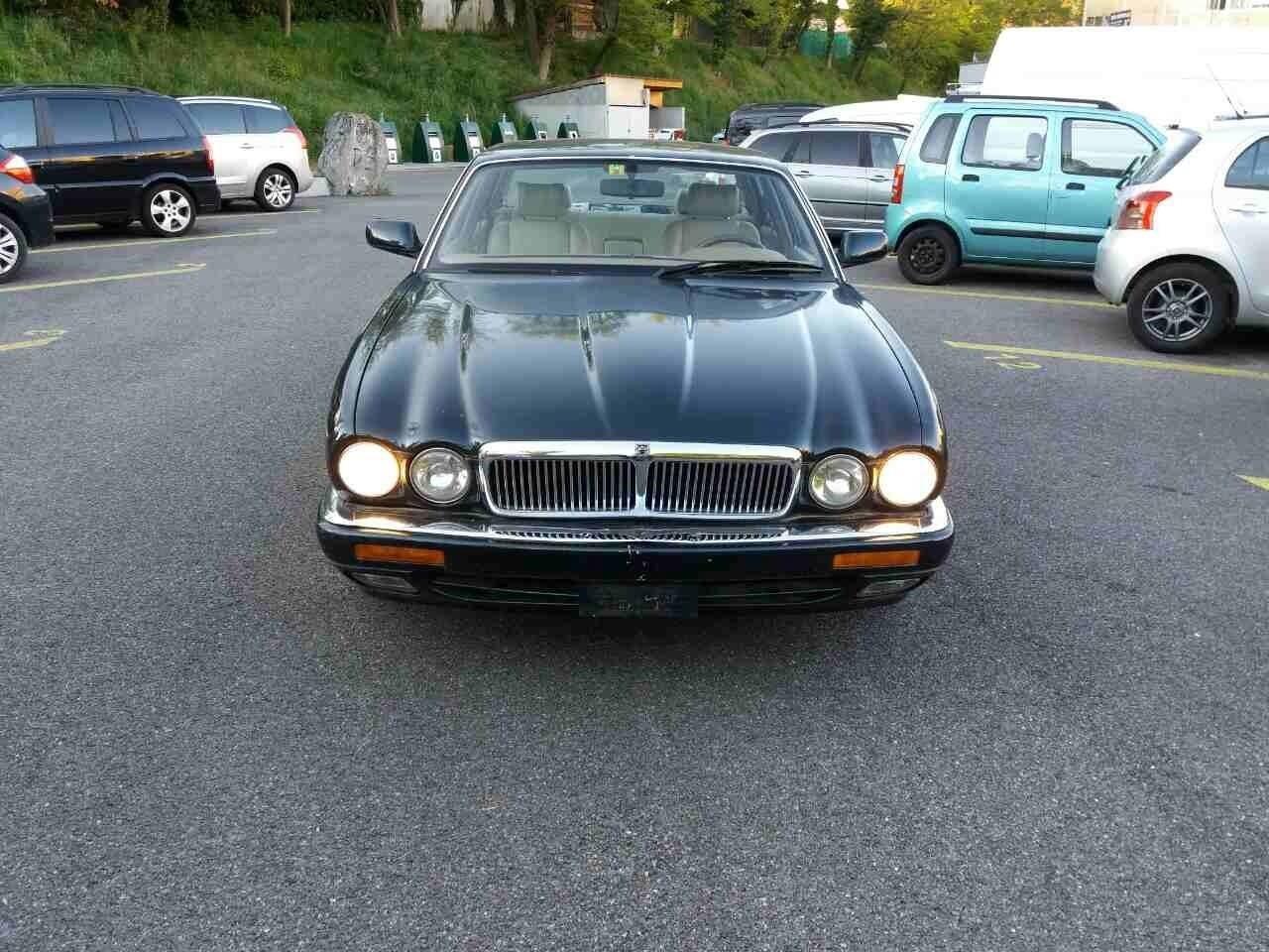 Shitet-jaguari