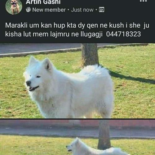 Qen
