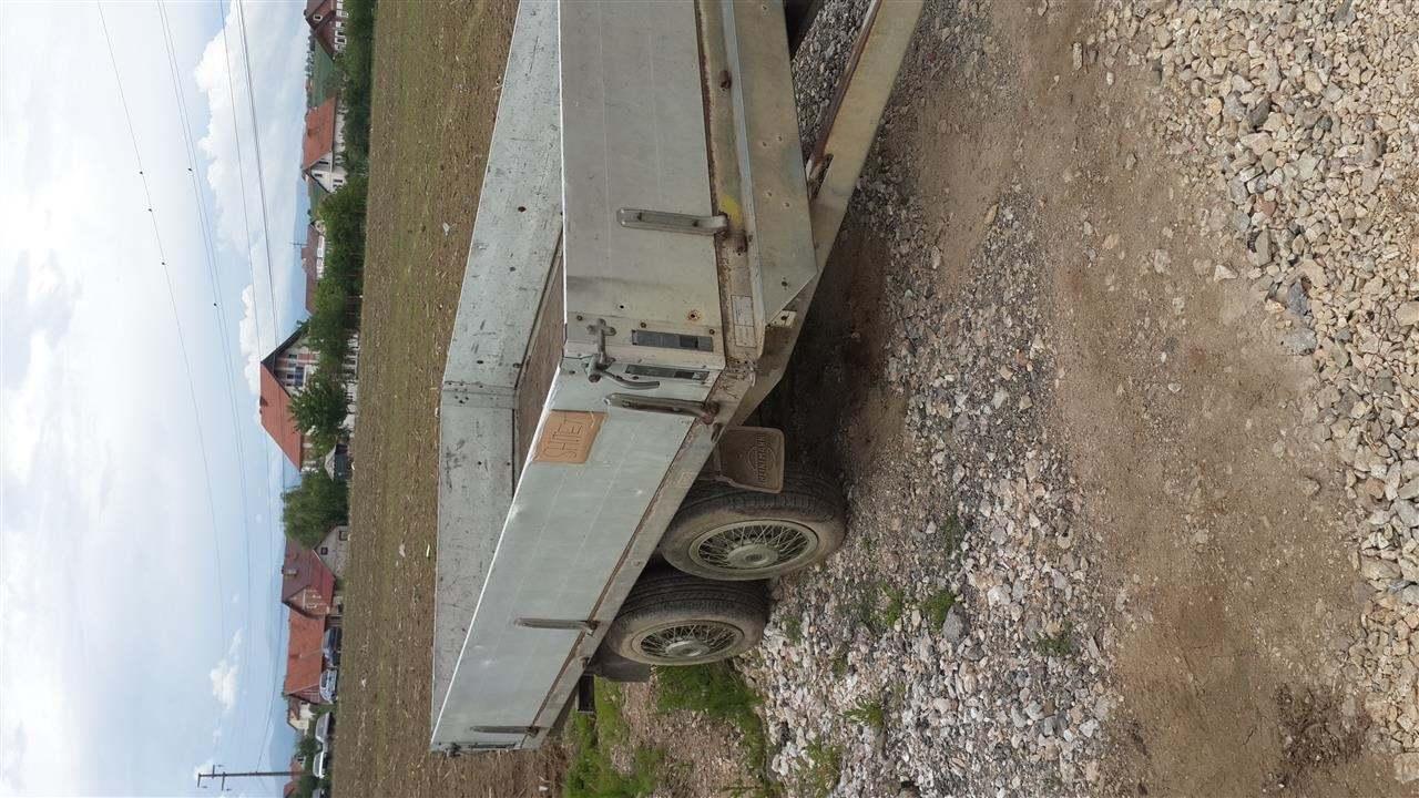 prokolic
