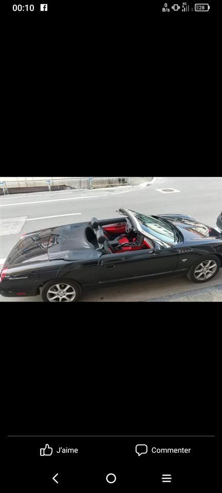 Thunderbird-