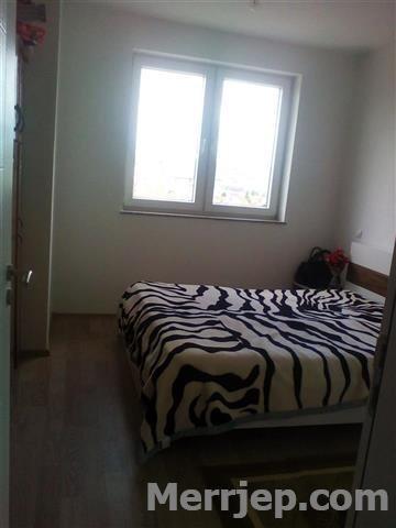 Apartment--for-rent