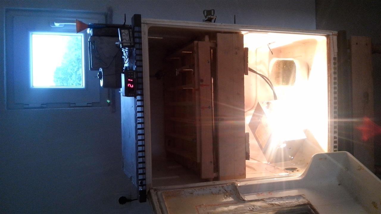 Inkubator