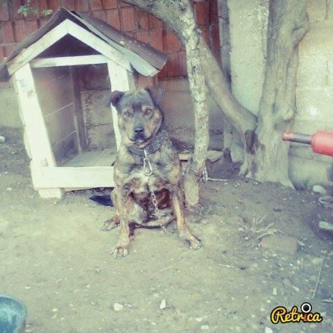 XHEKI