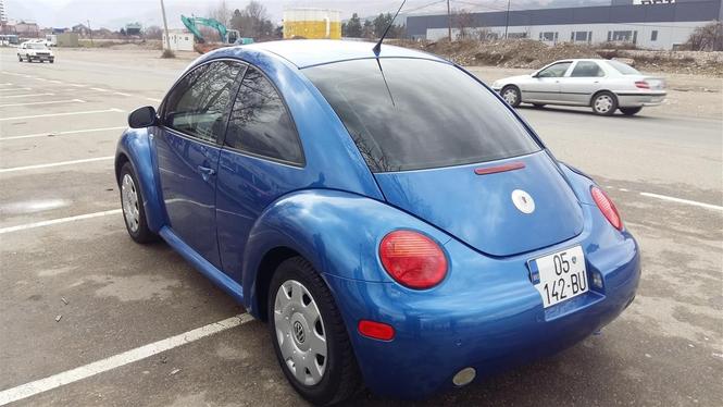 ww beetle 