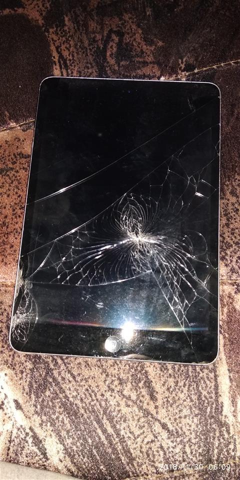 Ipad-Mini-