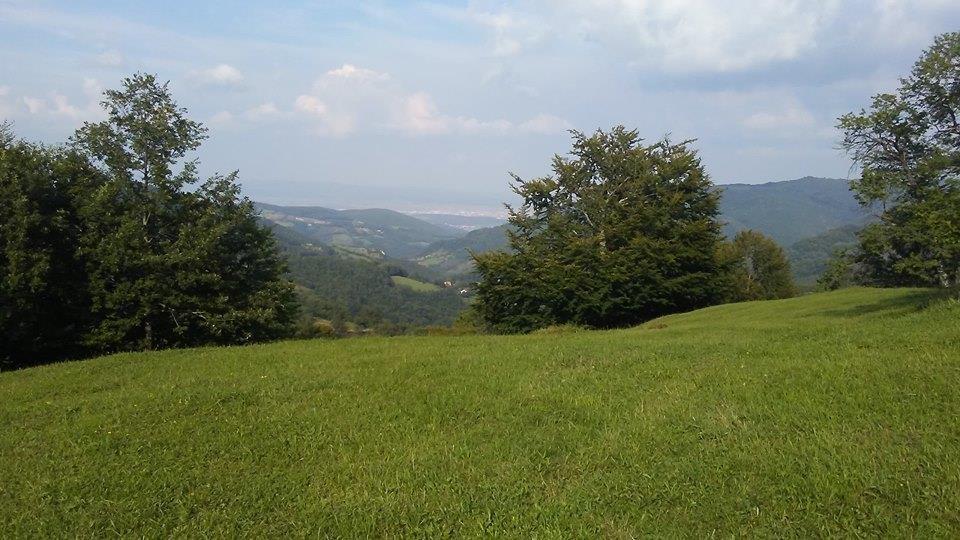 PARCELA-NE-JEZERC-