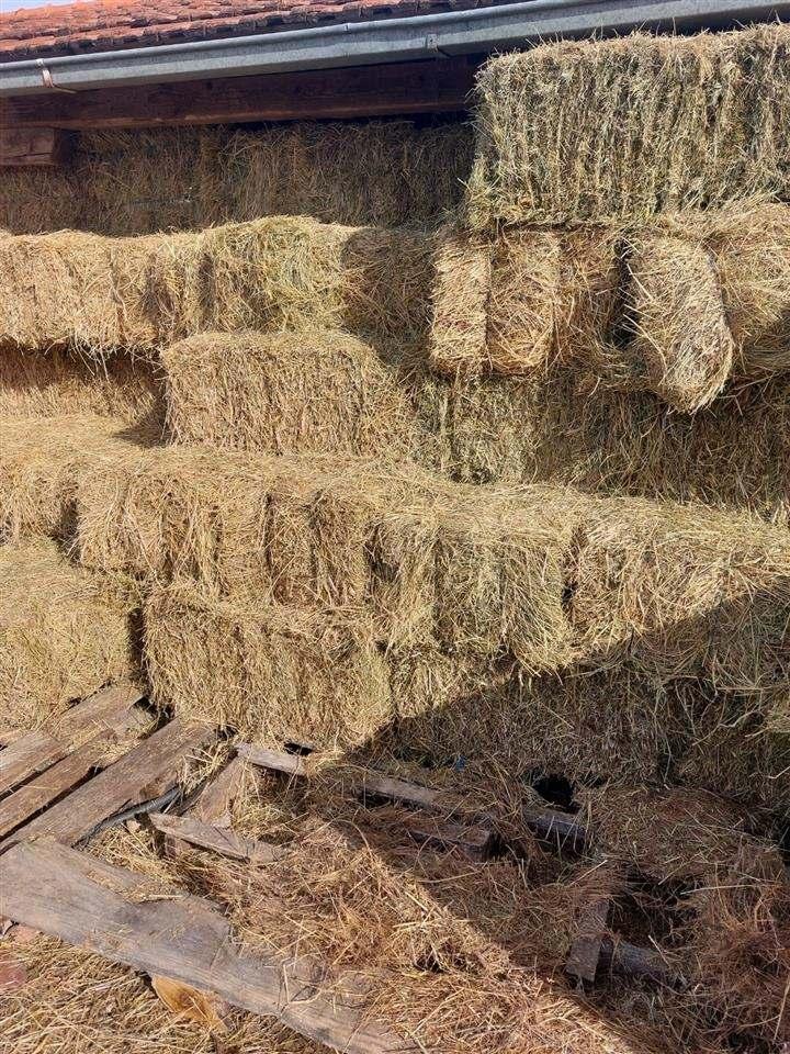 Shiten