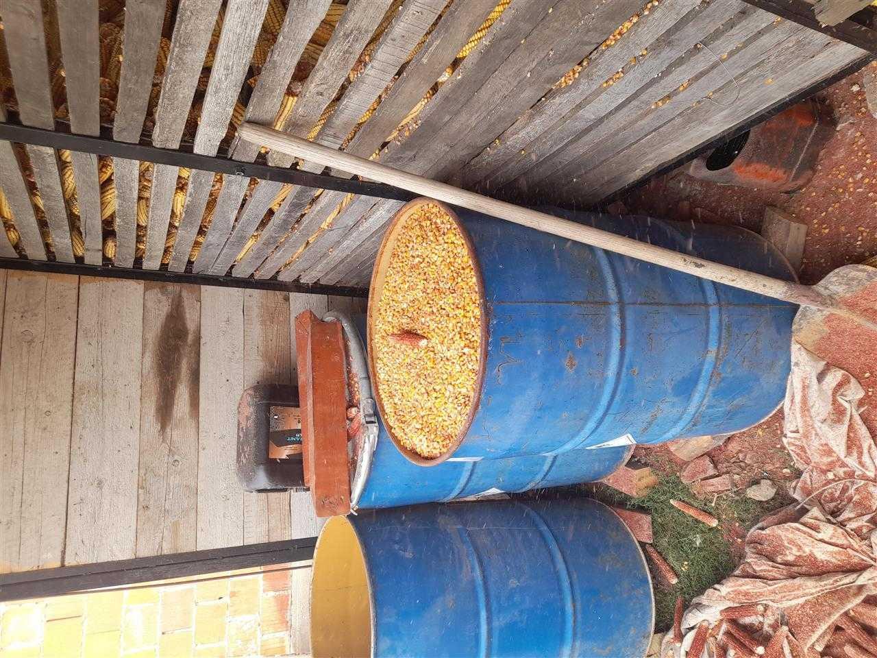 Kollomoq
