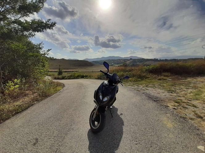 REX 50cc