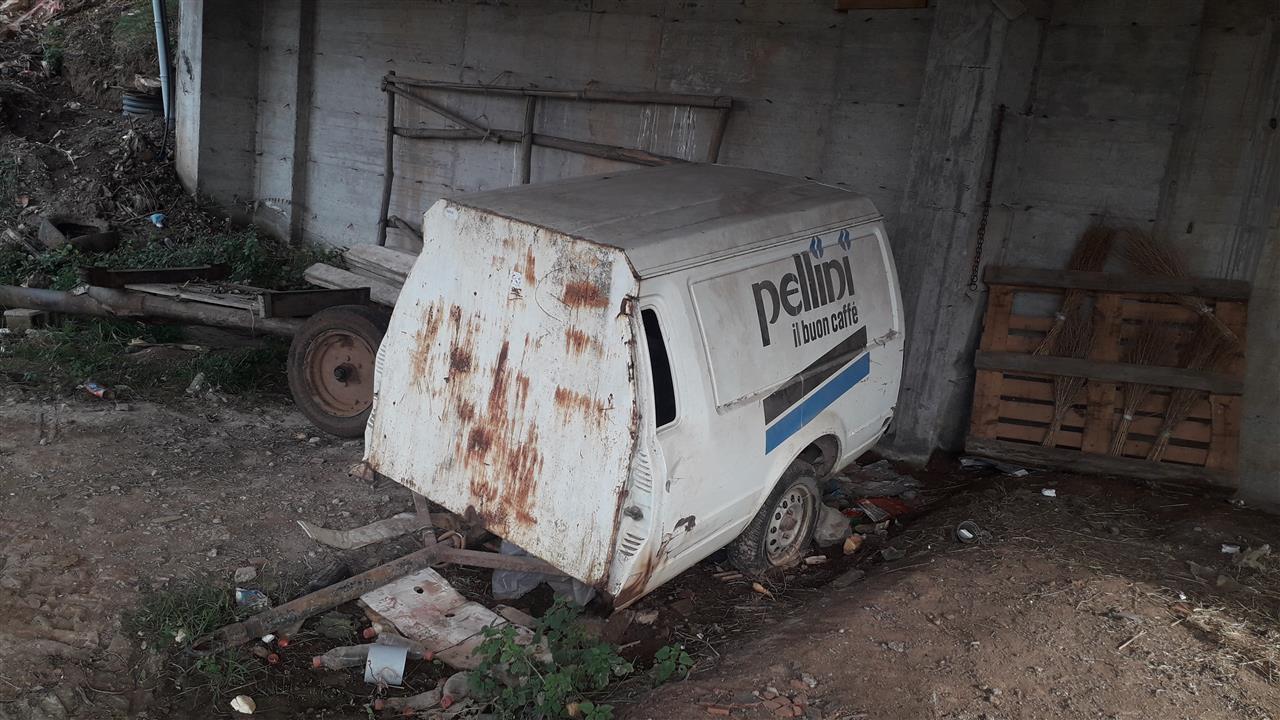 prokolic