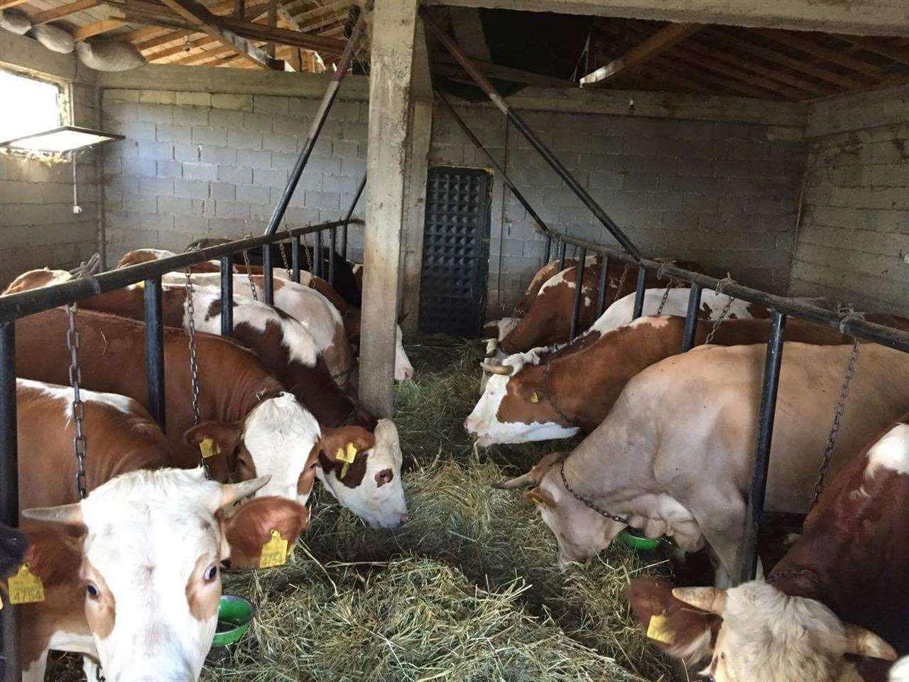 Lopet-e-fermes