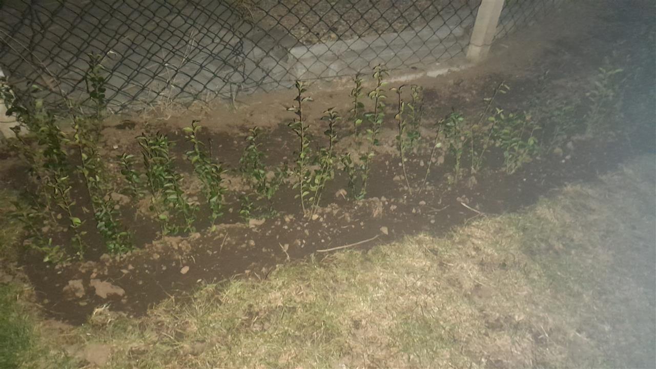 Gardh-