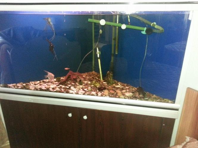 Akvarium
