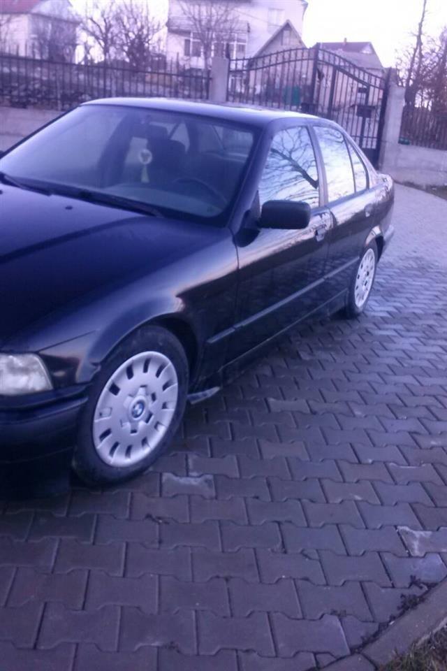 Shese