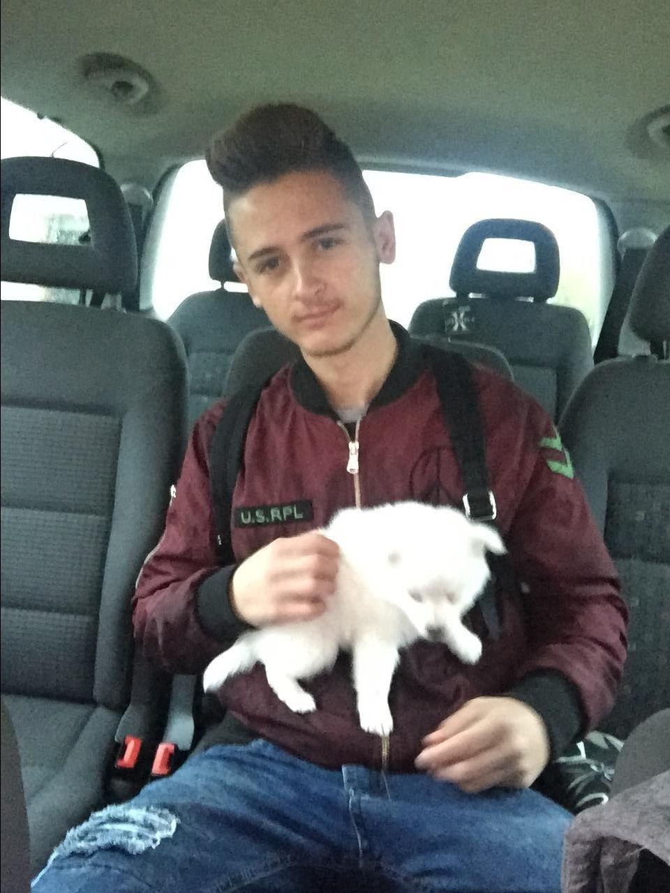 Bubi-samoyed