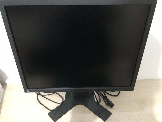 Monitor EIZO FlexScan S2100