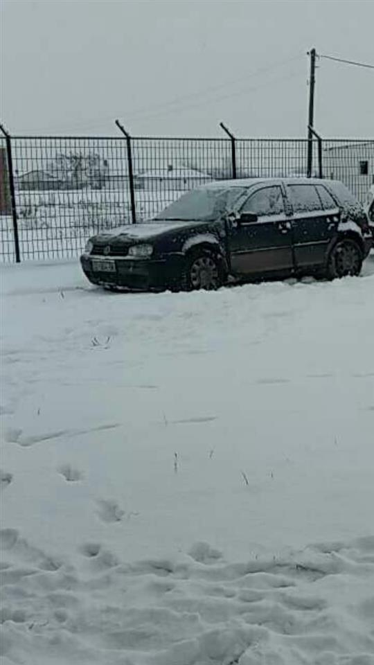 golf-4