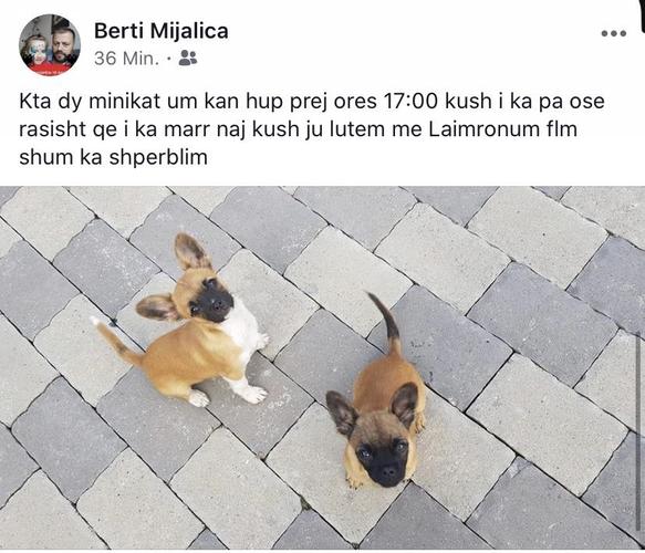 Minik