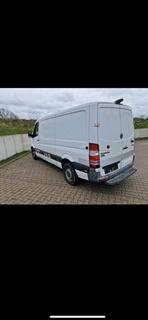 Sprinter