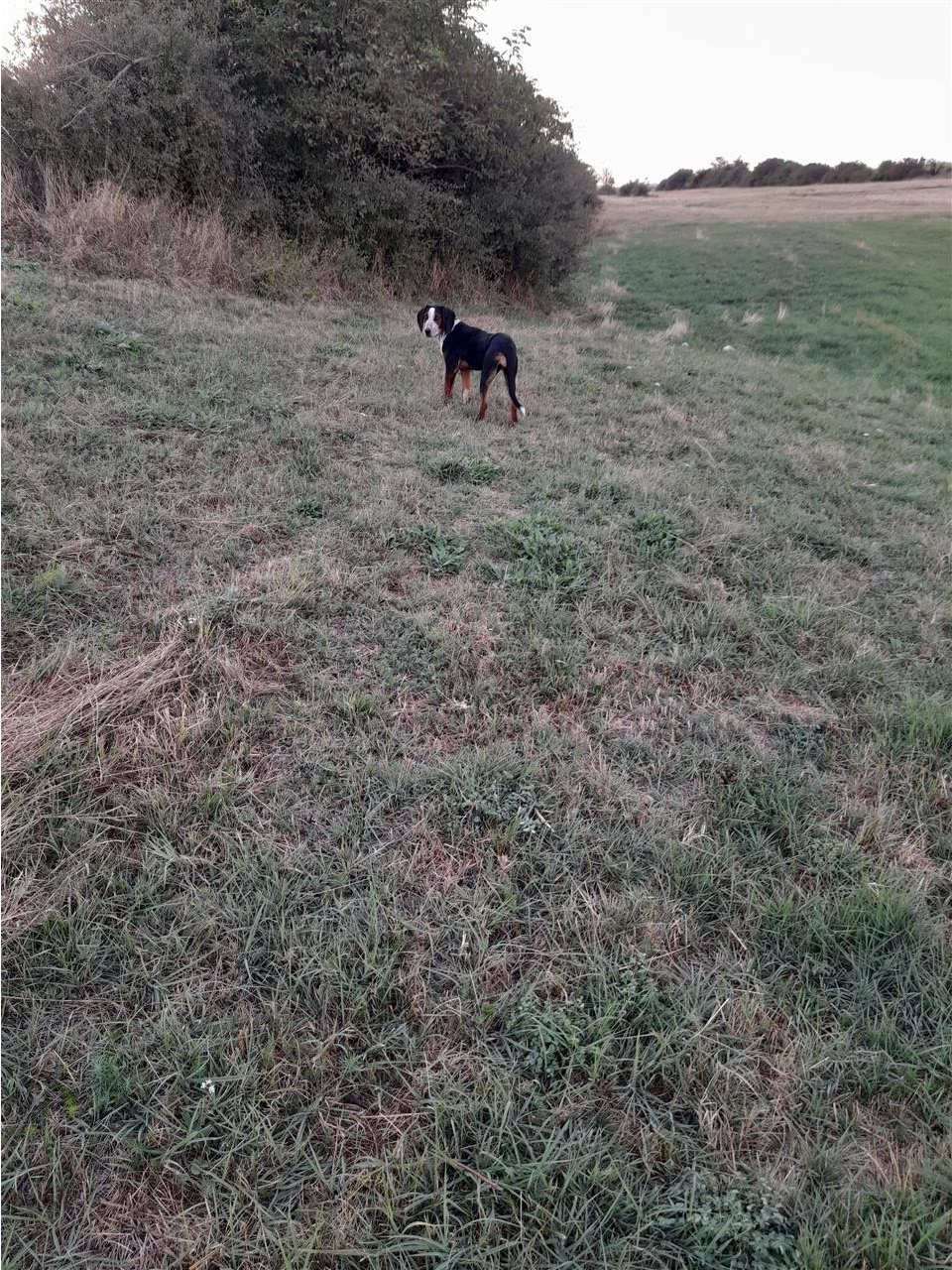 Zagar
