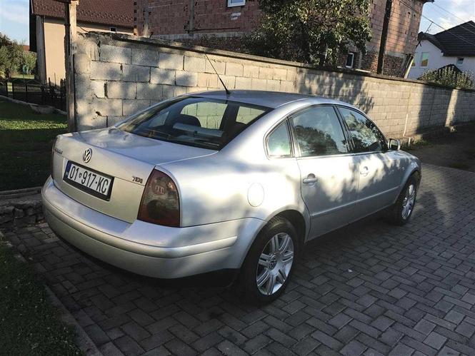 Shes passat